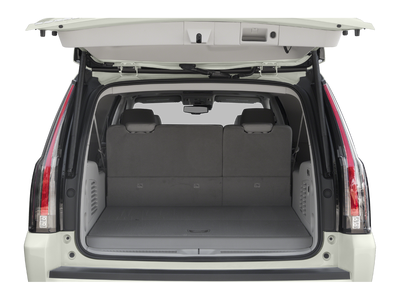 2020 Cadillac Escalade ESV Luxury